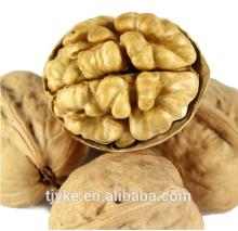 Walnut & Walnut Kernel for sale