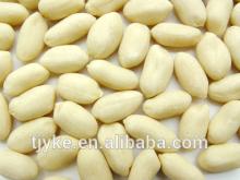peanut kernels with lowest price