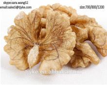walnut kernel(Fresh Style and Common Cultivation Type)
