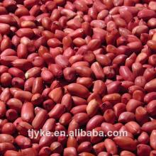peanut kernels ,peanut seed
