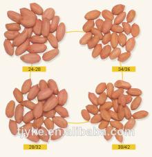 long type peanut kernels for sale 34/38