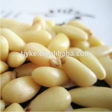 Pine nut