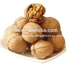 walnut kernel walnut in shell for sale