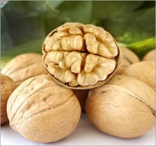 XinJiang thin-skinned walnut