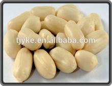 Groundnut