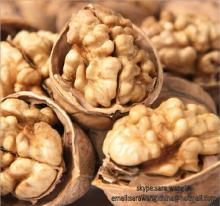 XinJiang thin-skinned walnut kernel