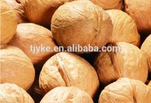 ISO HACCP Chinese Walnuts