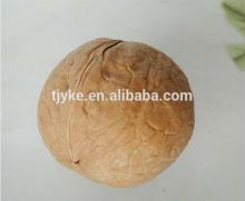 ISO HACCP Chinese Walnut in shell