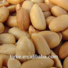 Roasted Peanut Kernel
