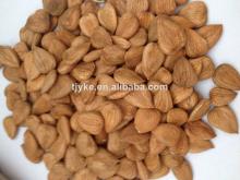 27/30 apricot kernel