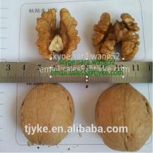  walnut   kernel (best  price )