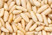 chinese pine nut kernels