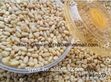 Pine nuts kernels YKE-P