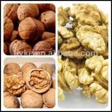 Walnuts