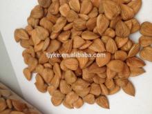 Apricot kernels , bitter/sweet