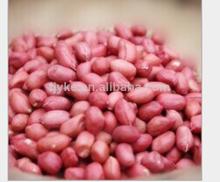 peanut kernels ,factory