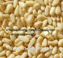 Pine nuts kernels YKE-P003
