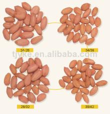 Raw Peanut with best price