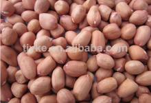 Raw Peanut.raw peanut kernel