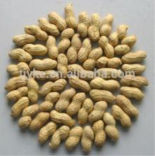 washed peanut in shell 9/11,11/13