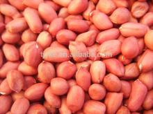 New Crop Raw Peanut peanut kernels