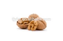 shelled&unshelled walnut