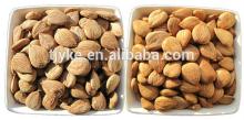 sweet and bitter apricot kernels for sale