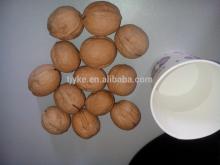 walnut kernels AAA grade