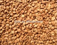 bitter and sweet apricot kernels 2014 new crop