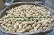 peanut kernels ,BIGGEST PEANUT & PUMPKIN SEEDS  FACTORY 