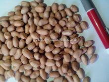 chinese jombo canned fried and salted peanut kernels roasted peanut kernel