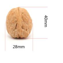walnut kernel lowest price