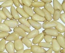 High Quality Raw and Roasted Pine Nuts