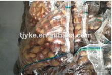 Organic Fresh Chinese chestnuts for sale