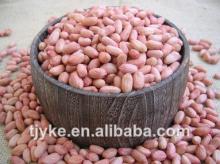 top quality peanut kernels/long type with competitive price