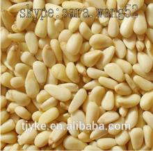 pine nut 2014 new crop hot sale