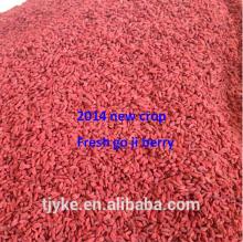 2014 new goji berry,dry goji berry