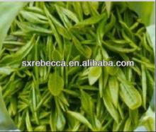 anti-aging Tea polyphenol /Green Tea Extract powder by UV