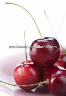 Acerola Juice Powder