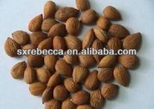 pure natural Amygdalin powder by GMP