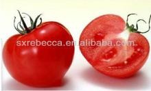 food grade tomato extract lycopene 30% hplc for food and beverage