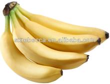 Pure food grade Banana Fruit Juice Powder FOR SOFT DRINKS GMP factory