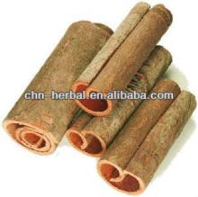 natural and organic Cinnamon Bark Extract powder
