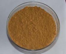 100%Natural Factory Supply  Water   Soluble   Cinnamon   Extract  95%MHCP