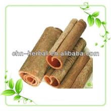 High quality natural Cinnamon Extract