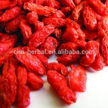 Polysaccharide10%-50% Wolfberry P.E/goji berry extract