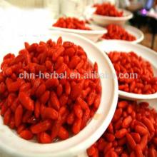 Wolfberry Fruit Dried Goji Berries