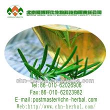 Green Tea Extract Tea polyphenol 20% 98%