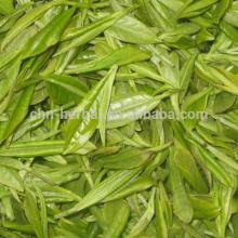 95% EGCG Green tea extract for comestic products