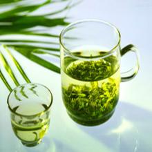 High Quality Green Tea Extract EGCG HPLC